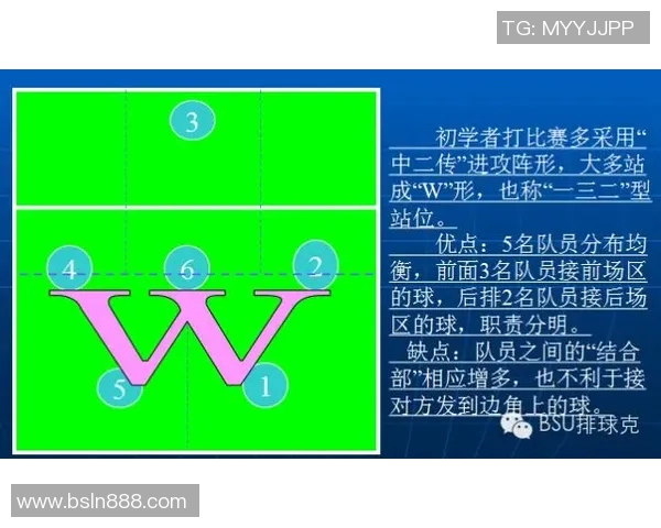 南京排球队进攻战术深度解析与实战应用探讨 南京排球队进攻战术深度解析与实战应用探讨