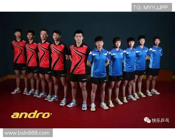 南京乒乓球队在挑战赛中的耐力表现分析与总结