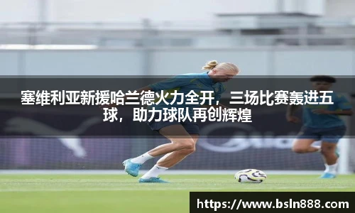 333体育