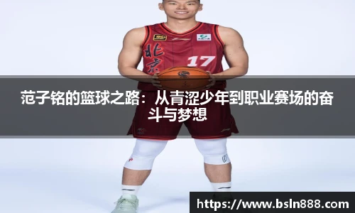 333体育官网